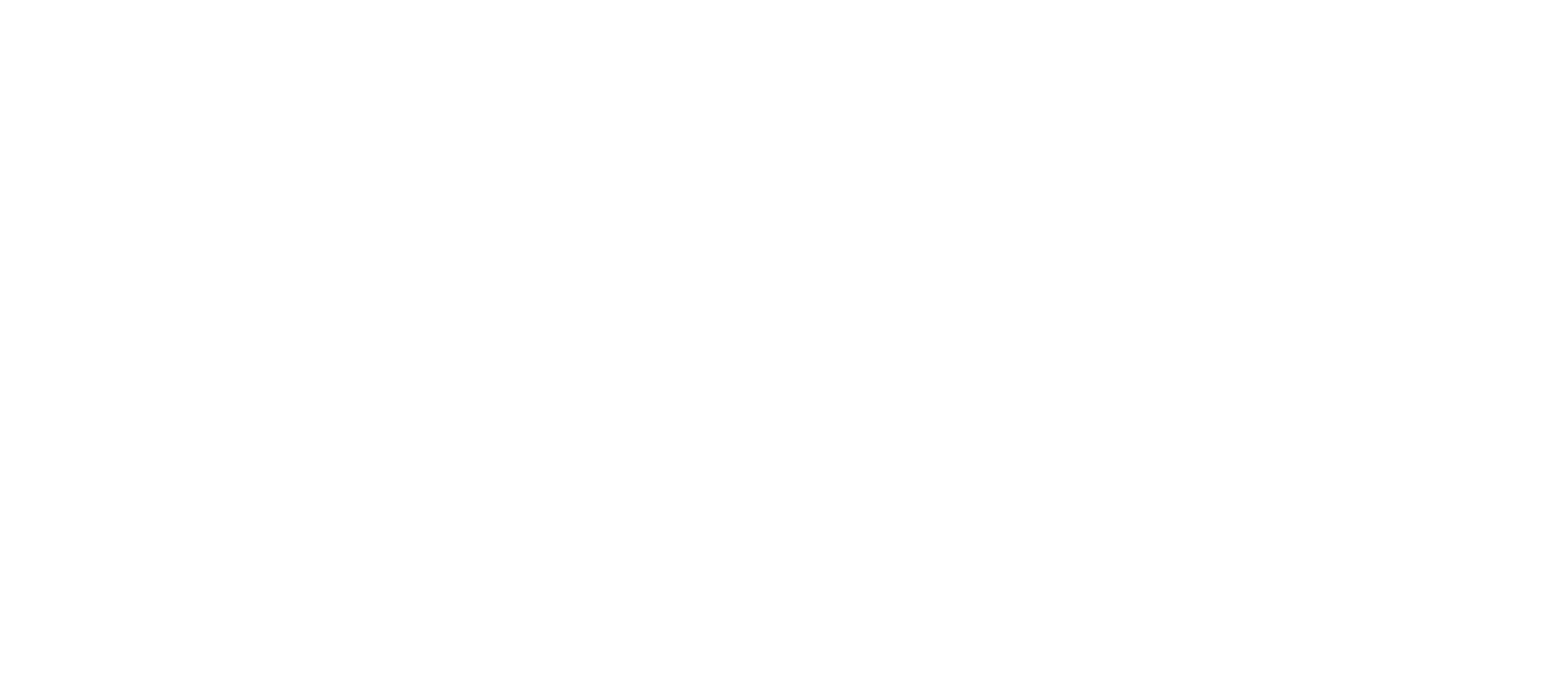 Artboard 1@2x Black Flag Barbell Logo
